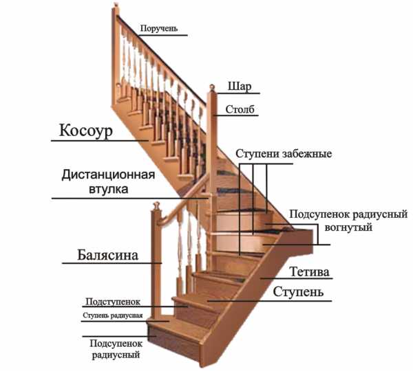 Устройство лестницы в доме